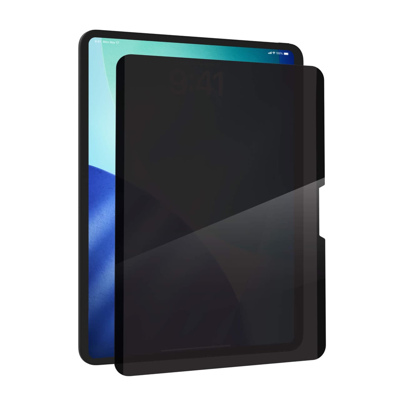 ZAGG ZAGG Removable 4-Way Privacy Filter, Apple iPad 11" Air M4/M3/M2 100320527