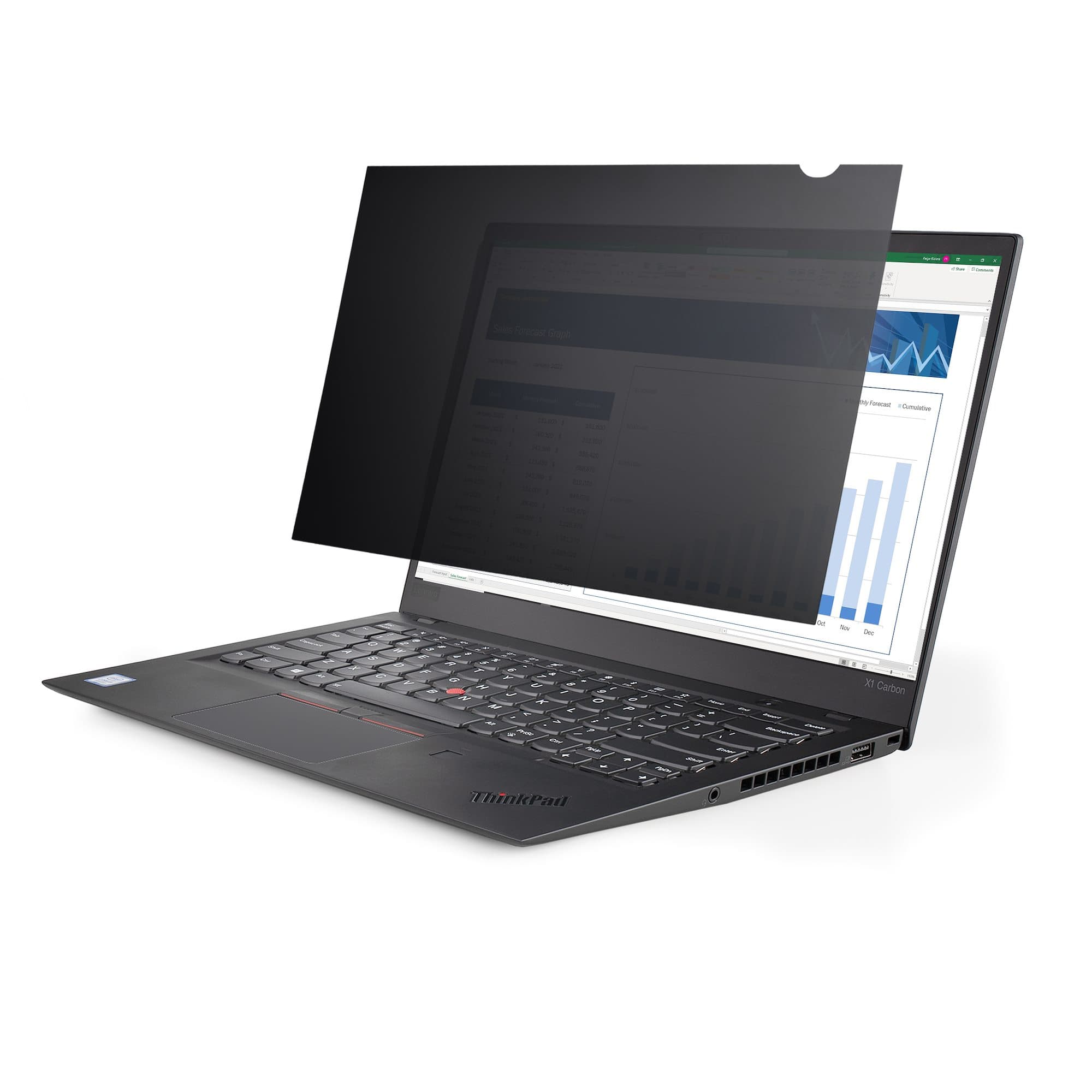 STARTECH STARTECH.COM 17.3" 16:9 LAPTOP PRIVACY FILTER, ANTI-GLARE PRIVACY SCREEN FILTER 2 YR 173L-PRIVACY-SCREEN