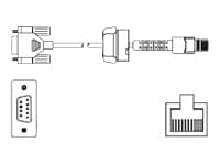 ZEBRA ZEBRA LXE: 6ft Straight locking AP DTR DB-9M 1015965