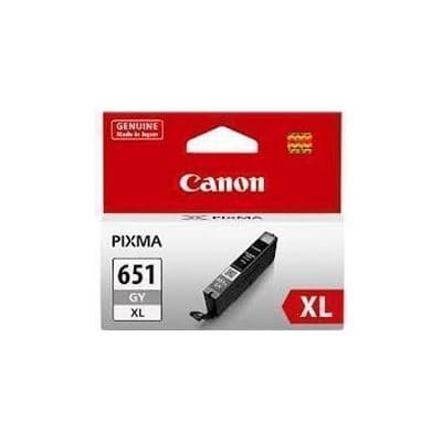 CANON CANON CL651XLGYOCN GRAY INK CART (H/Y) 2344207