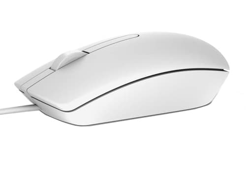 DELL DELL OPTICAL MOUSE - MS116 - WHITE RETAI 3095014