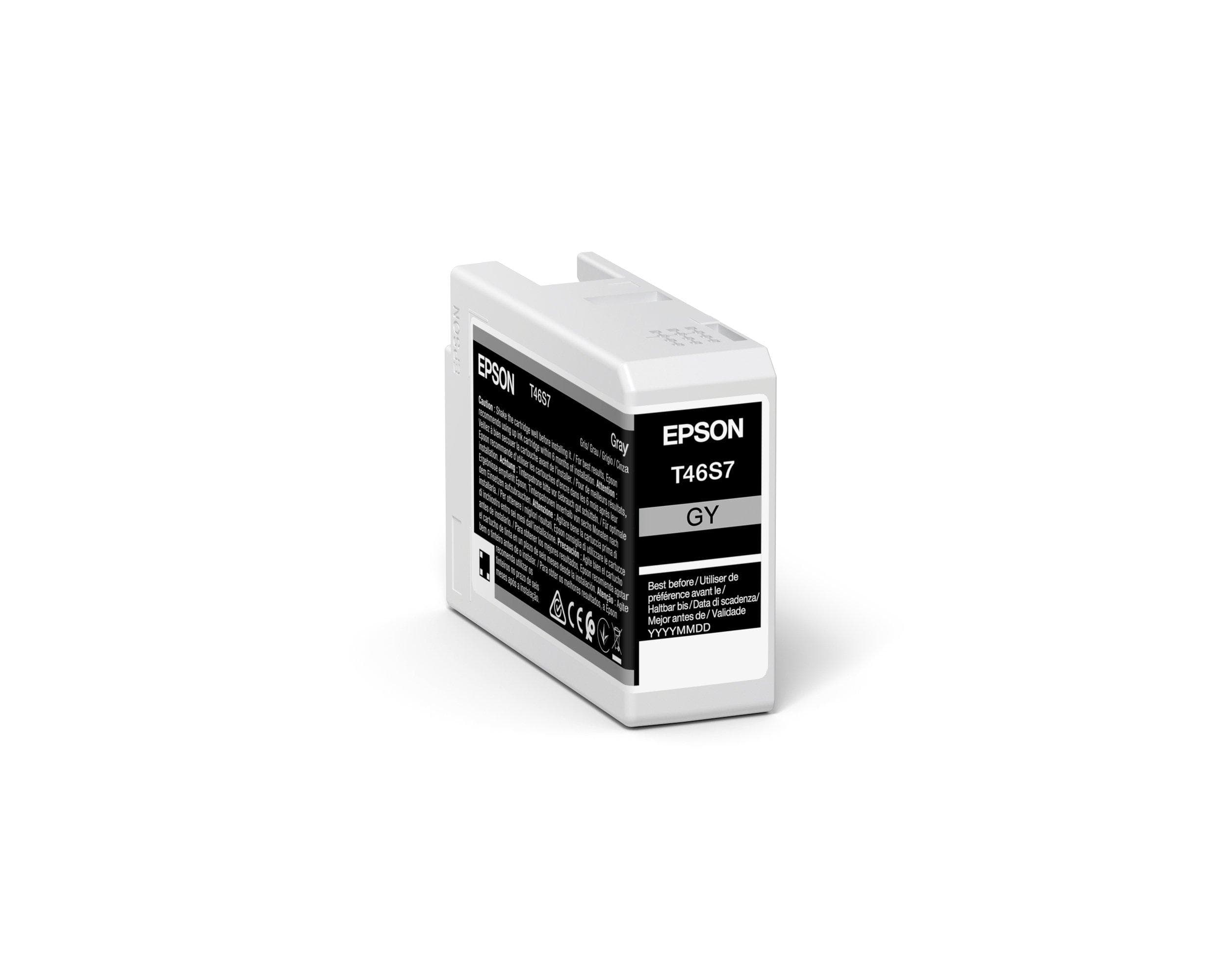 EPSON EPSON Singlepack Gray T46S7 4873841