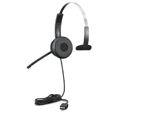 LENOVO Lenovo 100 Mono USB Headset 5175528