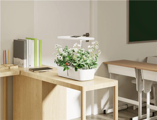 Digitus Digitus 12 Pod Indoor Garden GD8012