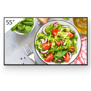 Sony Bravia Sony Bravia FW55BZ35L 55" 4K Ultra HD HDR Professional Display STVD252