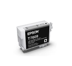 Epson Epson 760 Lgt Lgt Blk Ink Cart E760LLB