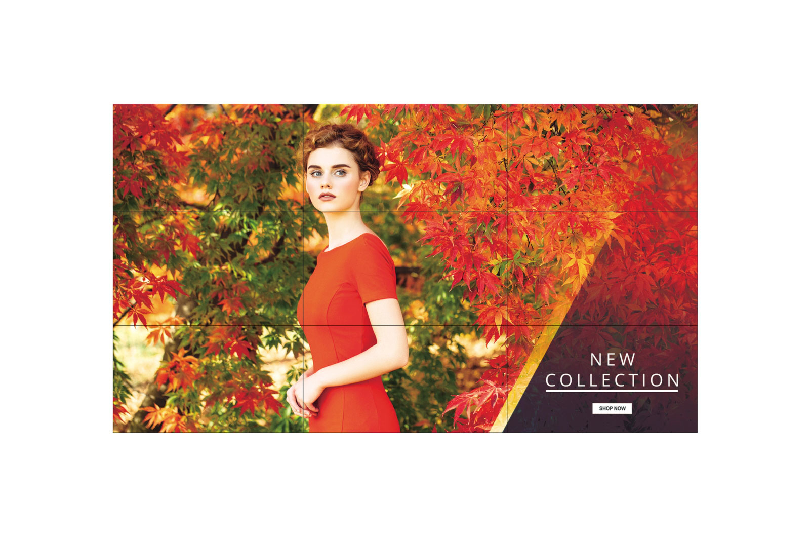 LG 55", FHD, 16:9, 700NIT, 24/7, 1.8MM BEZEL TO BEZEL, DUAL ORIENTATION, WEBOS SIGNAGE VID LG — view 2