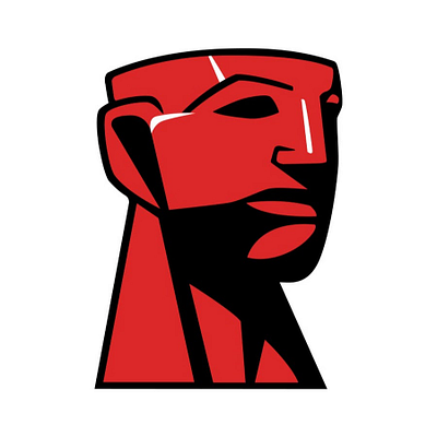 3.84TB Kingston IronKey Vault Privacy 80 KINGSTON — view 2