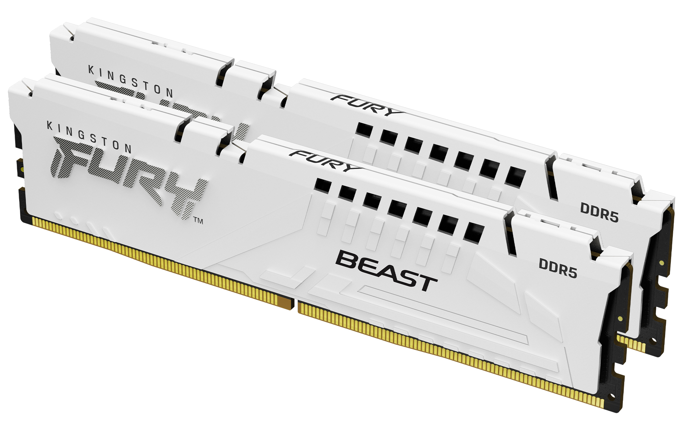 KINGSTON RAM