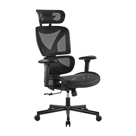 BRATECK SpineX Ergonomic Office Chair with Posture Enhancement. Brateck — view 2