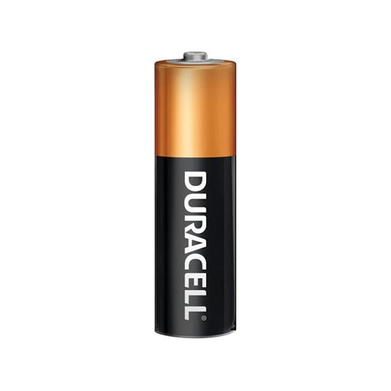 DURACELL Coppertop AA Alkaline Battery. Box of 24 Duracell — view 2