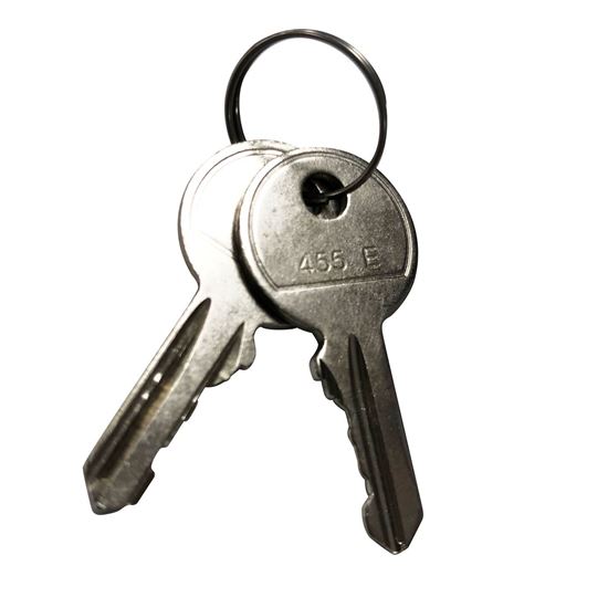 DYNAMIX Replacement Key For RODW series Outdoor Wall Dynamix — view 2