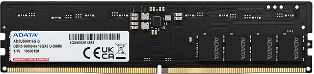Adata 8GB DDR5-5600 RAM DIMM  Lifetime wty Adata — view 2
