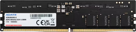 Adata 16GB DDR5-5600 RAM DIMM  Lifetime wty Adata — view 2