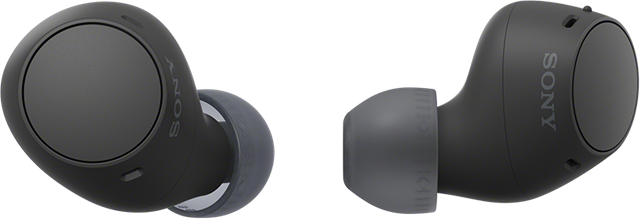 Sony Headset / Microphone