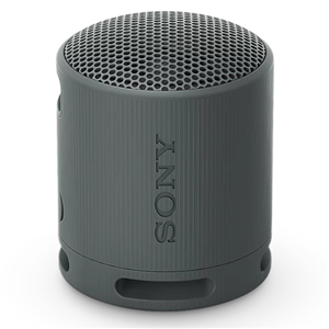 Sony SRSXB100H Wireless Speaker Grey Sony — view 2