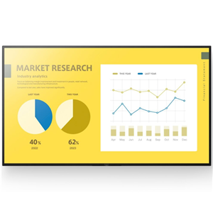 Sony Bravia Audio & Video