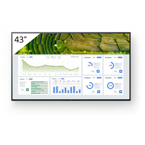 Sony Bravia Audio & Video