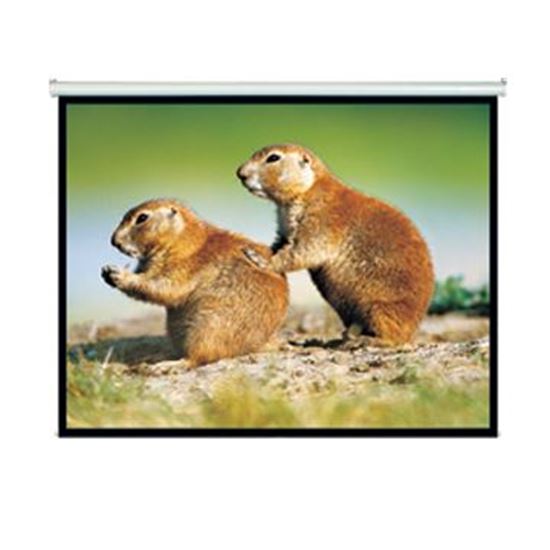 BRATECK 150' Projector Screen, Manual Self Locking, Matte Finish. Brateck — view 2