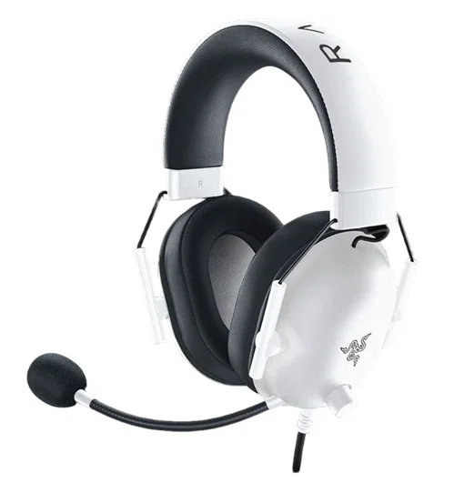 Razer Audio & Video
